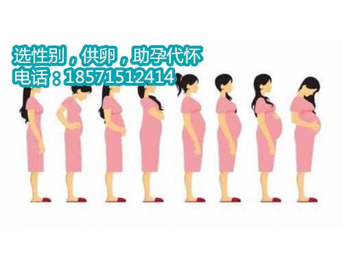 天津代怀孕哪里靠谱准备：通过饮食提高孕育健康宝宝的几率