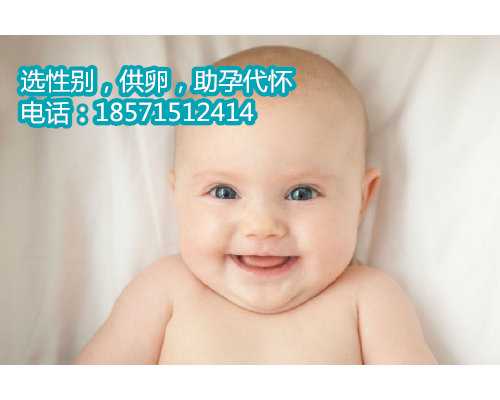 青岛供卵试管天津代怀孕价格低生男孩的成功率是多少？