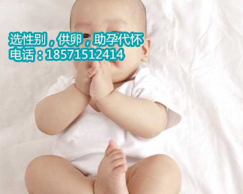 天津代怀孕服务平台,#泰东方-马来出行篇#好孕祈福